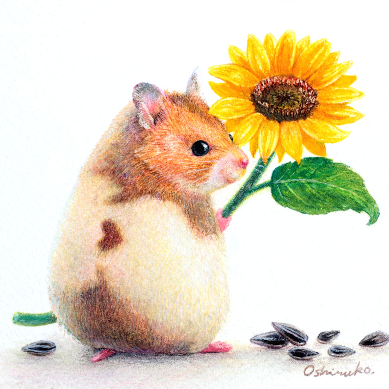 ゴールデンハムスターのナッツくん Span Nuts Kun A Golden Hamster Span Oshiruko Illustration おしるこイラストレーション
